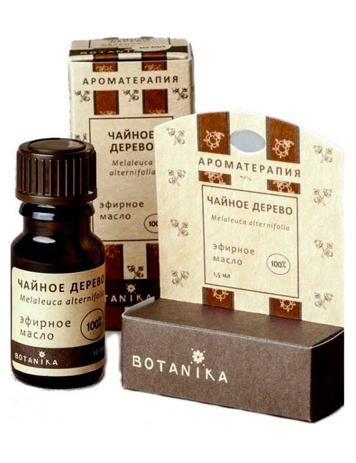 Eteryczny olejek z drzewa herbacianego – Botanika